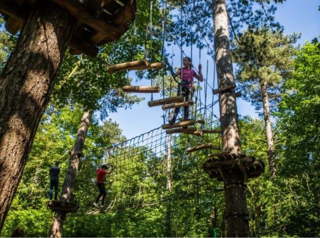 Climbing forest Zeeuwse Helden