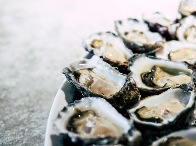 Oyster pits of Yerseke