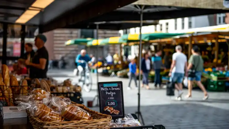 Cycling and hiking routes